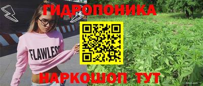 ешки Камышлов