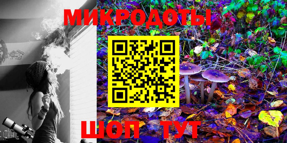Галлюциногенные грибы Psilocybine cubensis Урай
